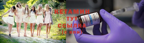 сатива Краснослободск
