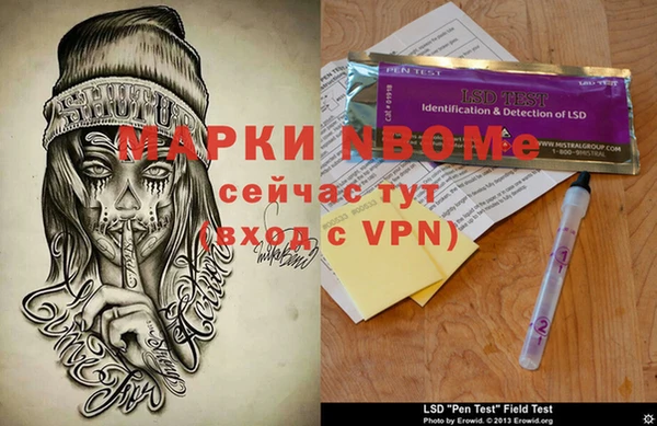 сатива Краснослободск