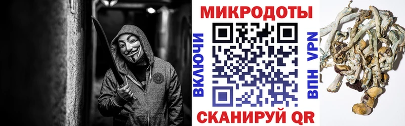Галлюциногенные грибы Psilocybine cubensis  как найти закладки  Могоча 